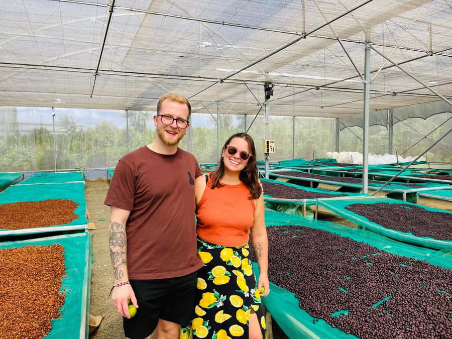 Buon Ma Thuot: Coffee Farm Tour (Bean to Brew) with Pickup - The harvest season changes the visit
