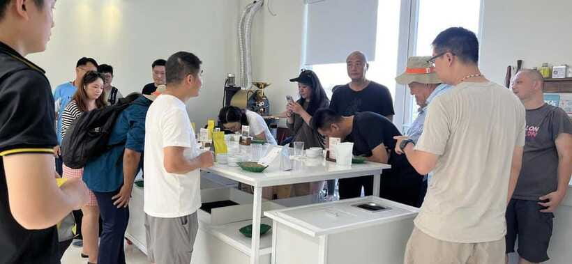 Buon Ma Thuot: Specialty Coffee Tour and Brewing Experience - Brewing your own cup at 10:30 AM