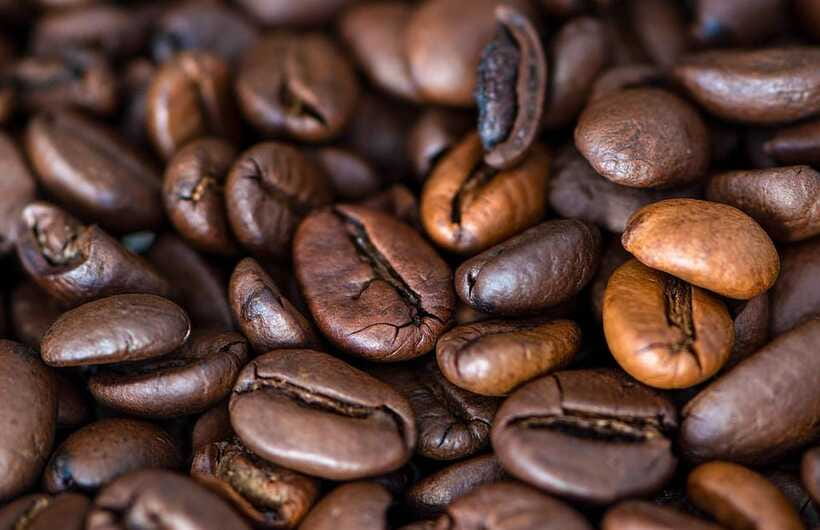 Buon Ma Thuot: Specialty Coffee Tour and Brewing Experience - Is $59 per person good value?