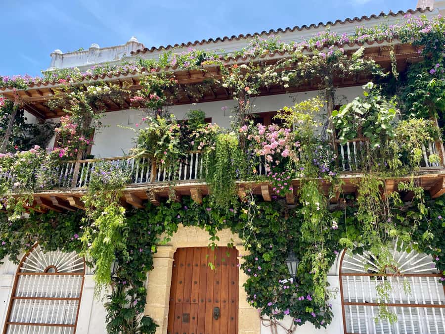 Cartagena: History, Culture & Coffee Experience - Walking through Cartagena’s colonial center