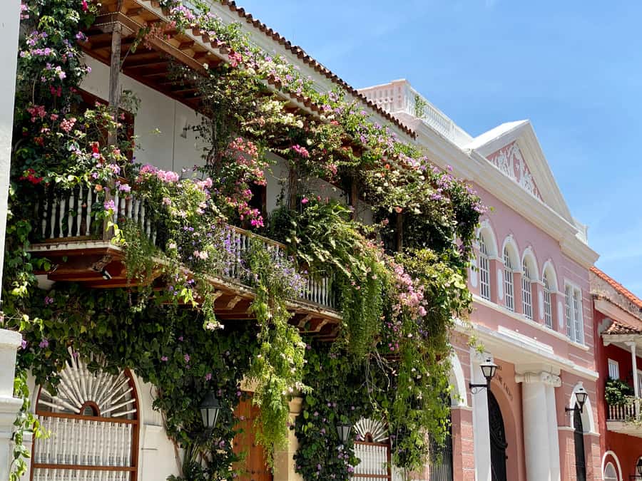 Cartagena: History, Culture & Coffee Experience - The value of a private guide