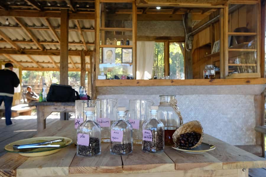 Chiang Mai Coffee Full Day Tour: Trek, Brew & Roast Journey. - FAQ
