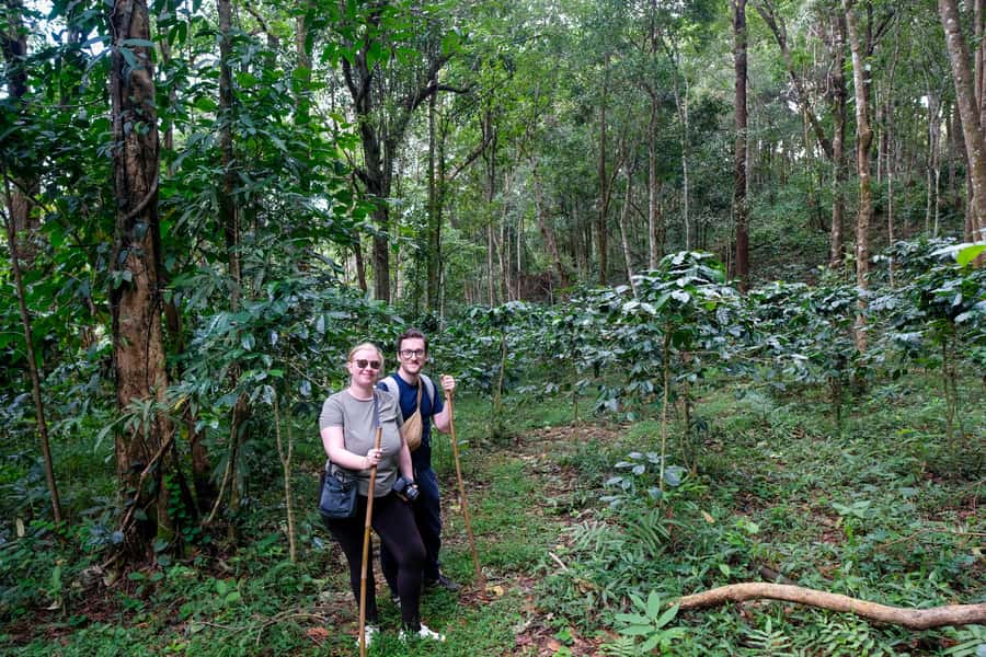 Chiang Mai Coffee Full Day Tour: Trek, Brew & Roast Journey. - The 50-minute forest walk