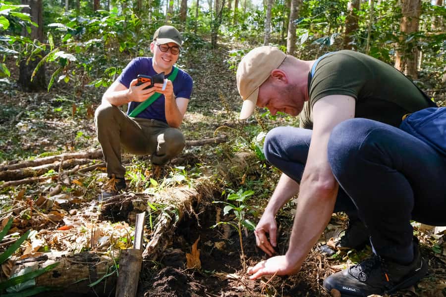 Chiang Mai Coffee Full Day Tour: Trek, Brew & Roast Journey. - What the $118 price gets you