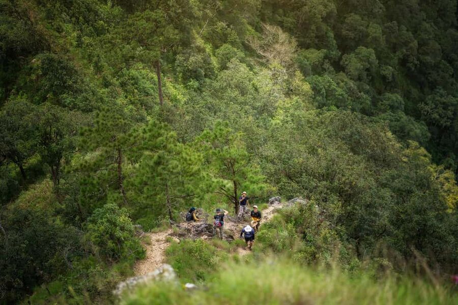 Chiang Mai : Thep Sadet & Coffee Plantation Full Day Hiking - Reaching Doi Lang Ka Noi at 1,800 meters