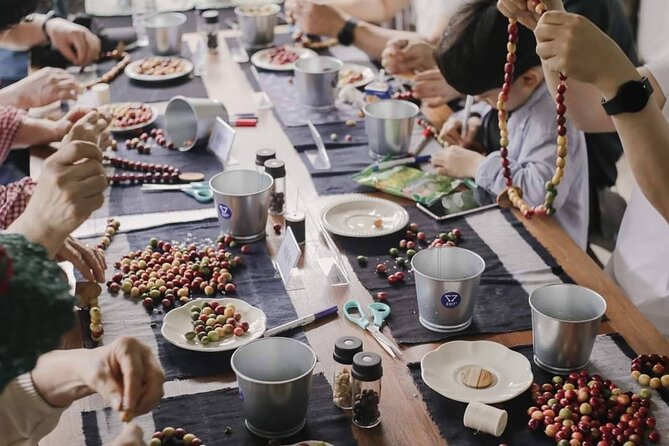 Chiangmai Coffee Farm Tour - Picking coffee cherries from the plant