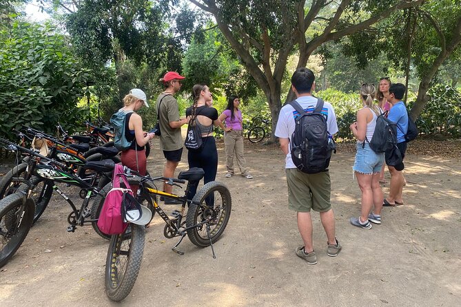 Coffee and Gastronomic Bike Tour in Antigua - Finca La Azotea: coffee plants, shade trees, and the full process