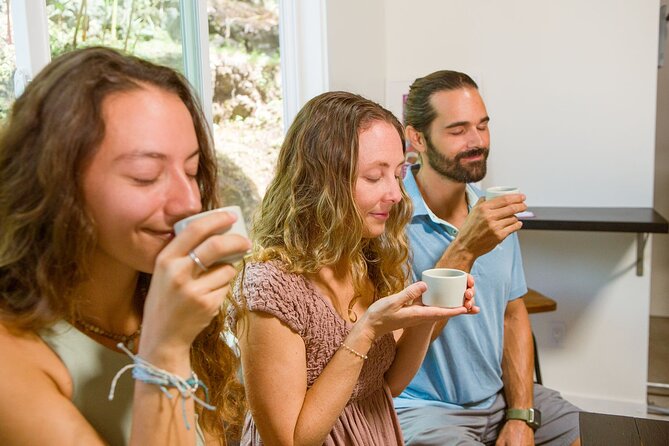 Coffee Brewing Workshop - Key points at a glance