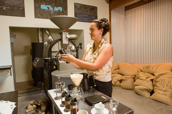 Coffee Brewing Workshop - Three cups that teach you how coffee changes