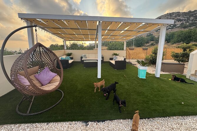 Coffee Cake and Cuddles with Rescue Puppies in a Sea View Villa - A strong choice for families visiting western Cyprus