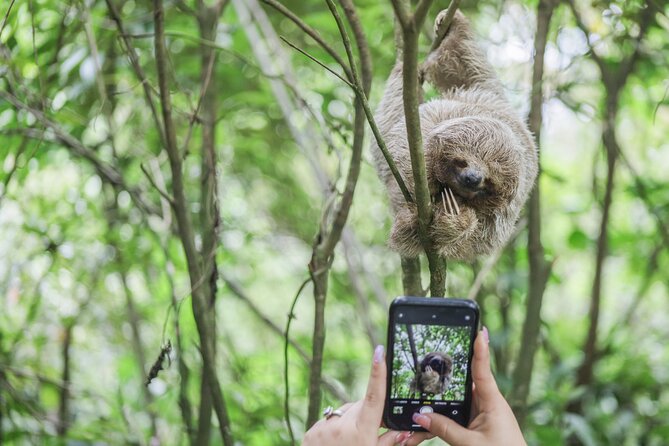 Coffee & Chocolate Tour+Sloths Park & Llanos de Cortez Waterfall - Llanos de Cortez Waterfall and Its Steep Steps