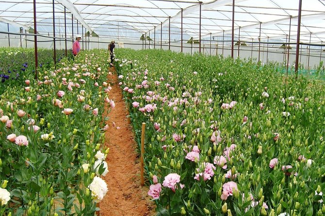 Coffee Class and DaLat Outskirt Tour - Elephant Waterfall, with an important closure notice