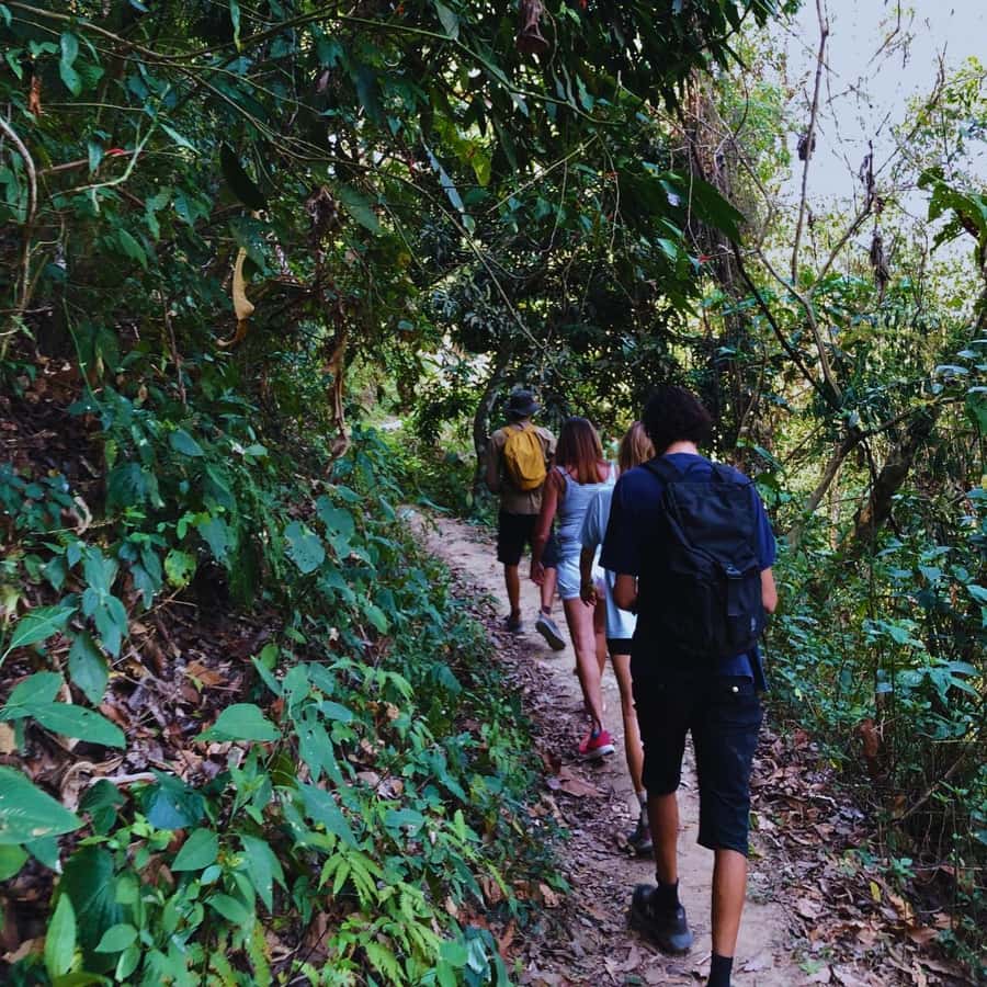 Coffee, Cocoa and Trekking Tour in Minca: Nature, Crops and Production - Should you book the Coffee, Cocoa and Trekking Tour?