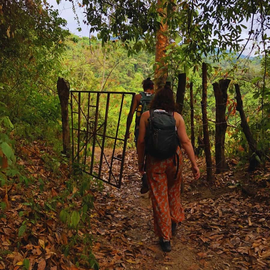 Coffee, Cocoa and Trekking Tour in Minca: Nature, Crops and Production - The long Minca Park section and the uphill work