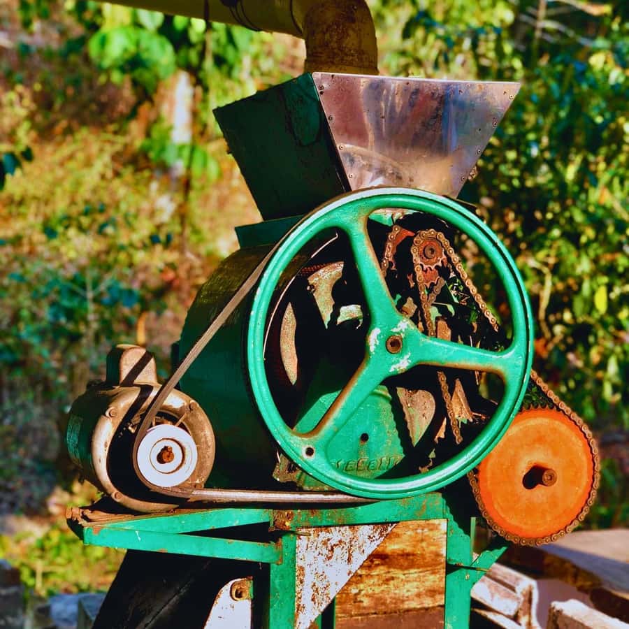 Coffee, Cocoa and Trekking Tour in Minca: Nature, Crops and Production - Tasting coffee and cocoa at the source