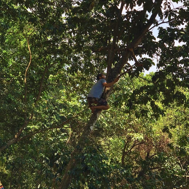 Coffee, Cocoa and Trekking Tour in Minca: Nature, Crops and Production - Is $41 a fair price for four and a half hours?