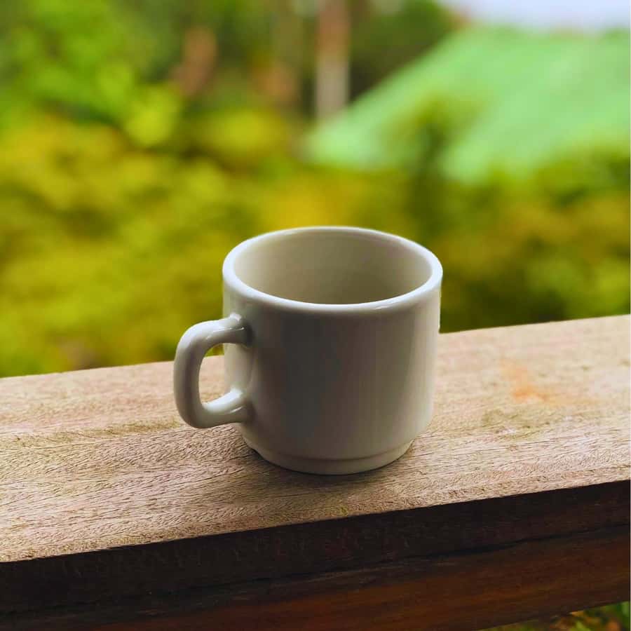 Coffee, Cocoa and Trekking Tour in Minca: Nature, Crops and Production - Who will enjoy this Minca outing most?