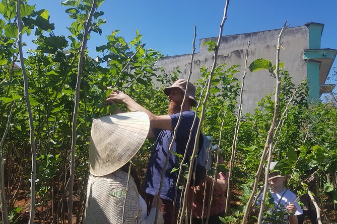 Coffee & Culture Experience _From Farm to Cup by Elon Farm - From coffee fruit to green beans
