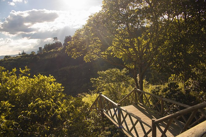 Coffee Experience from bean to cup - Santa Elena and the first look at the hacienda