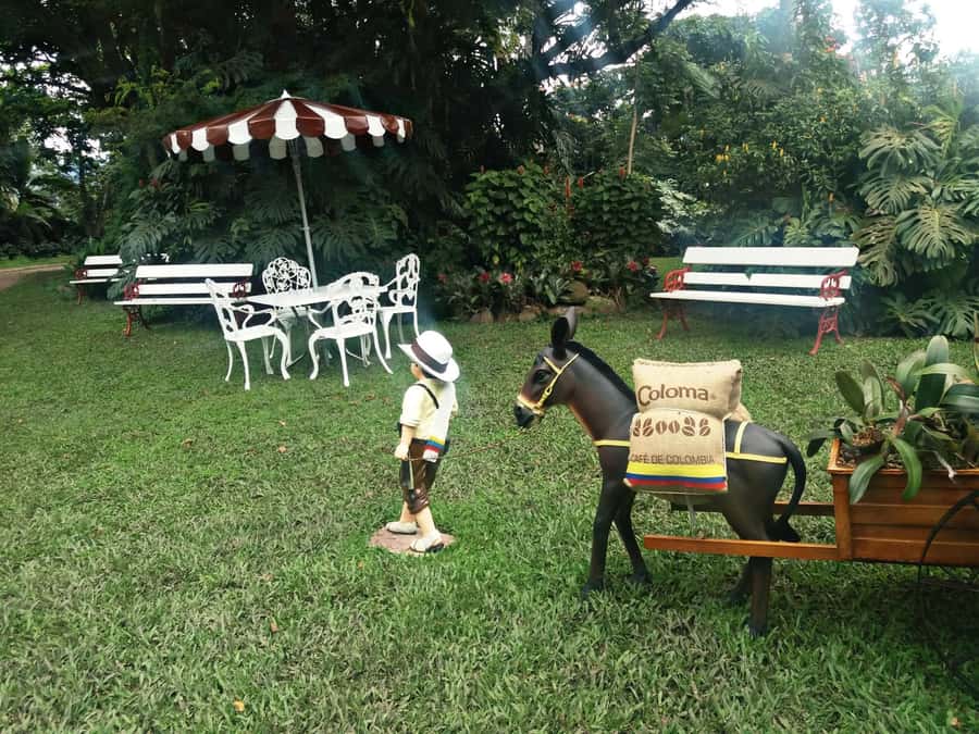 Coffee Experience: Hacienda Coloma Tour from Bogotá - Key points at a glance