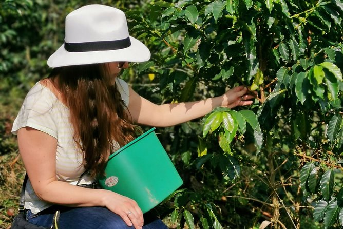 Coffee Farm & ATVs Private Tour in Medellin: Stunning Views & Fun - Key points at a glance
