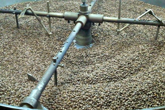 Coffee Farm Experience Private Day Tour - The road from Bogotá to the coffee country
