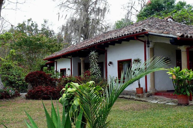 Coffee Farm Experience Private Day Tour - What you actually taste at the end