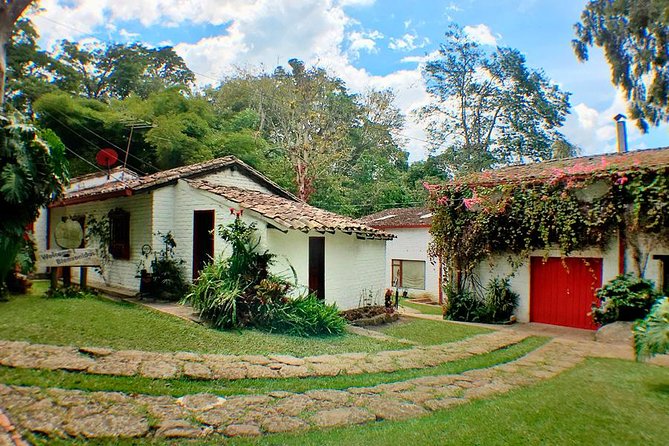 Coffee Farm Experience Private Day Tour - Lunch and the case for choosing the meal option