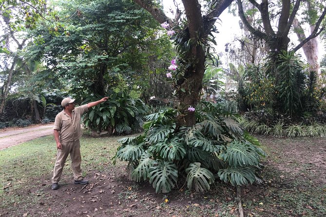 Coffee Farm Experience Private Day Tour - Private touring with real room to adjust