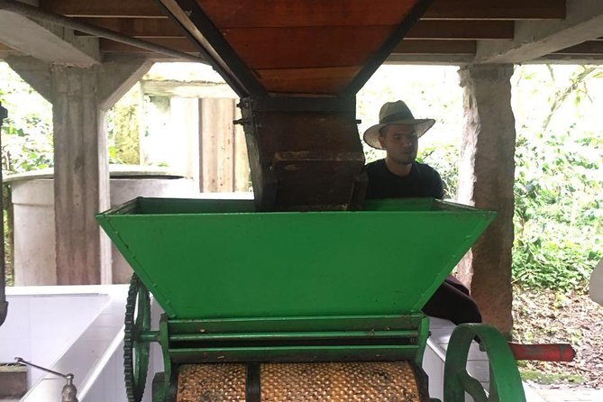 Coffee Farm Experience Private Day Tour - Is $110 a fair price?