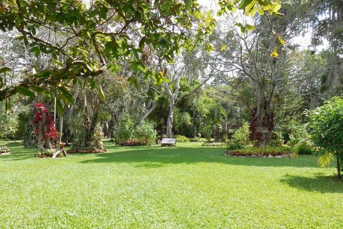 Coffee Farm Experience Private Day Tour - Who will enjoy this day most
