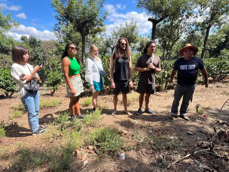 Coffee farm experience - From Antigua to Ciudad Vieja