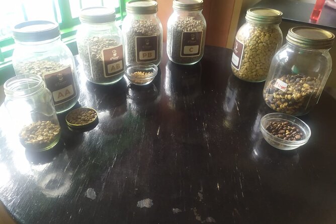 Coffee Farm Half-Day Tour in Kenya - Pairing the farm with other Nairobi plans