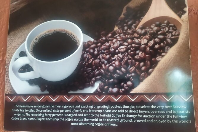 Coffee Farm Half-Day Tour in Kenya - Who will enjoy this coffee tour most