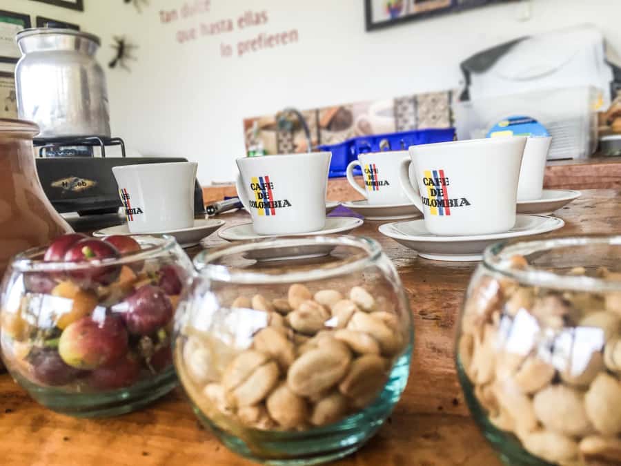 Coffee Farm Tour at Finca El Ocaso from Salento - Key points to know before you book