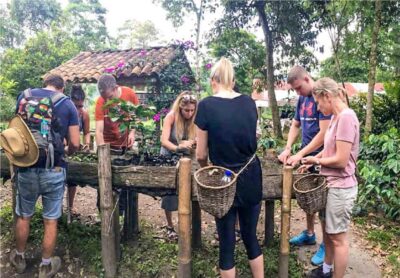 Coffee Farm Tour at Finca El Ocaso from Salento