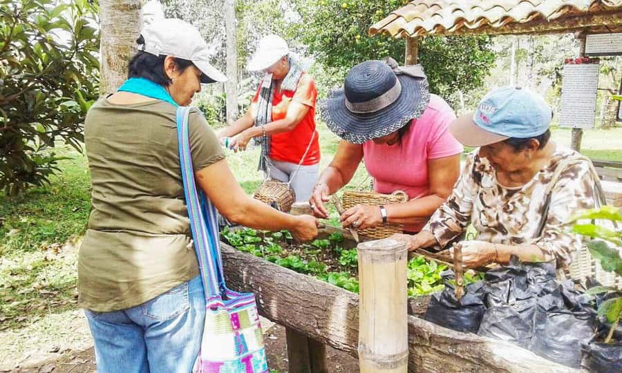 Coffee Farm Tour at Finca El Ocaso from Salento - From coffee cherry to roasted bean