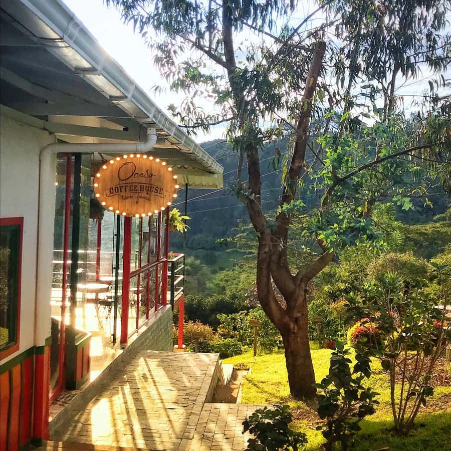Coffee Farm Tour at Finca El Ocaso from Salento - What the $93 price covers