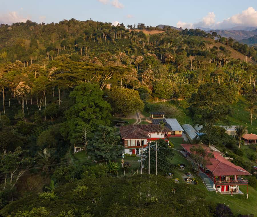 Coffee Farm Tour at Finca El Ocaso from Salento - Who will enjoy this farm visit most