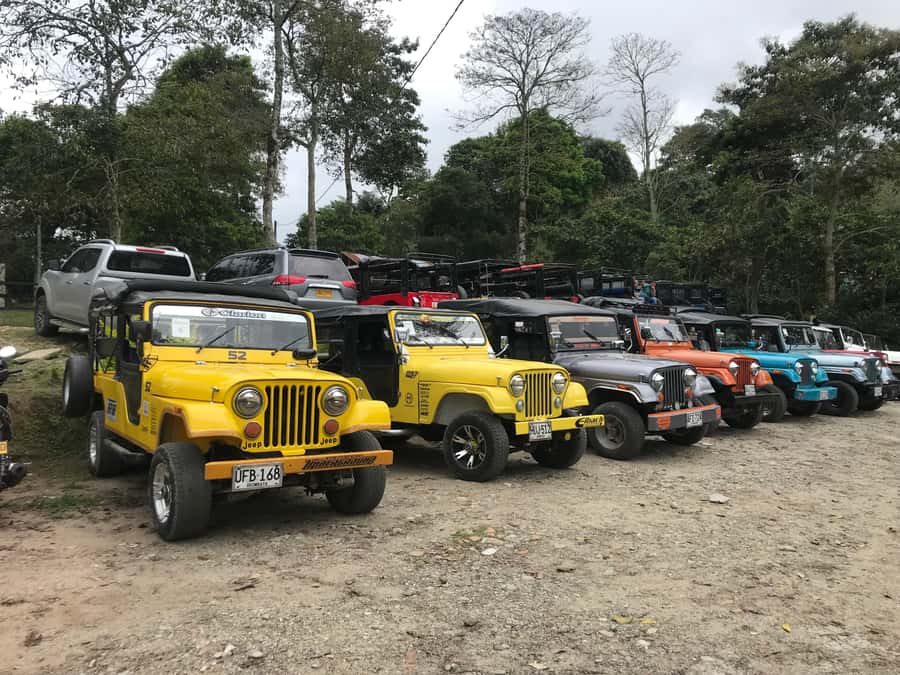 Coffee Farm Tour at Finca El Ocaso from Salento - Practical planning before you go