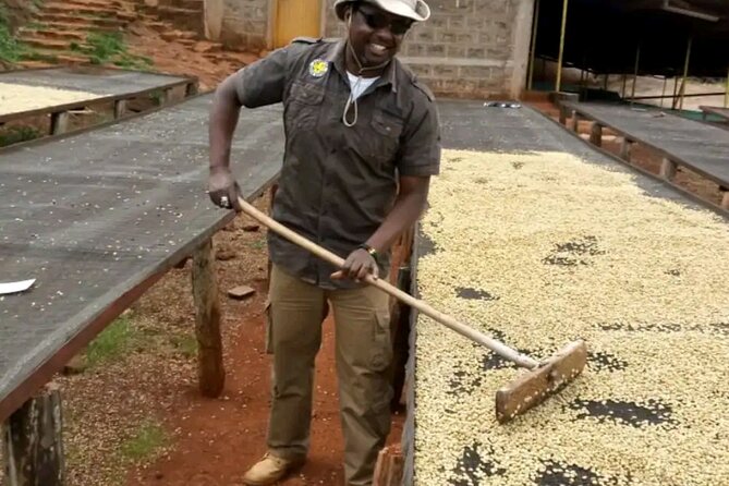 Coffee farm tour, coffee roasting and tasting experience - Getting there from Nairobi