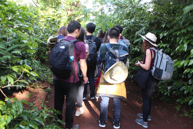 Coffee farm tour, coffee roasting and tasting experience - Is $35 good value?