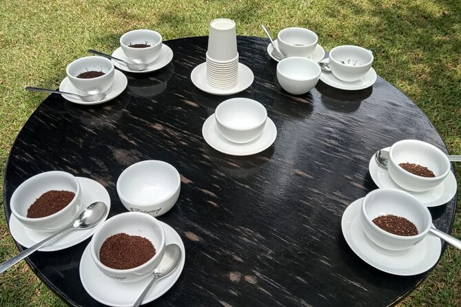 Coffee Farm Tour (Fairview) - Fresh roasting and the farm shop