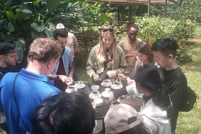 Coffee Farm Tour (Fairview) - Private group, family fit, and accessibility