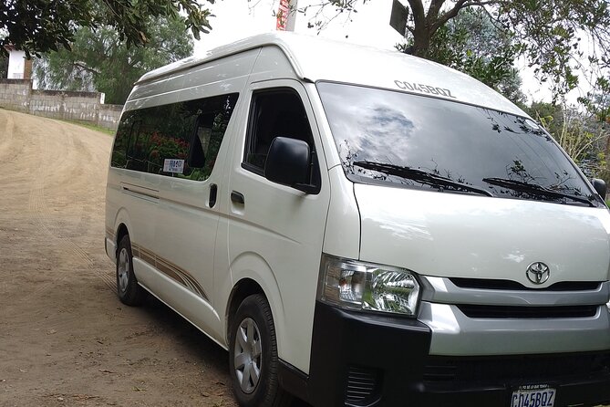 Coffee & Macadamia Fincas Tour - What You Learn at Finca La Azotea
