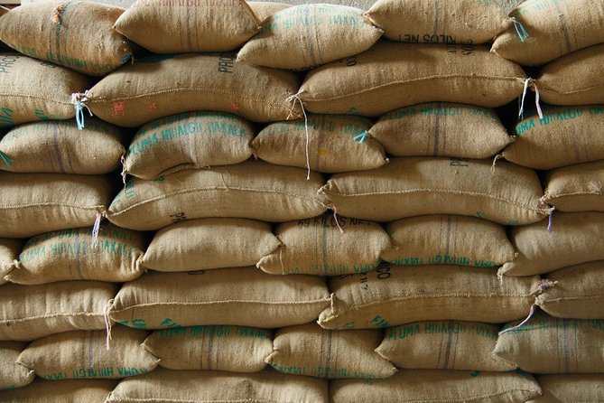 Coffee Plantation Experience - A working coffee plantation, not just a cup of coffee
