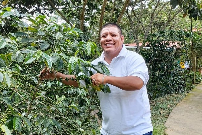 Coffee Plantation Experience - The Sierra Madre viewpoint