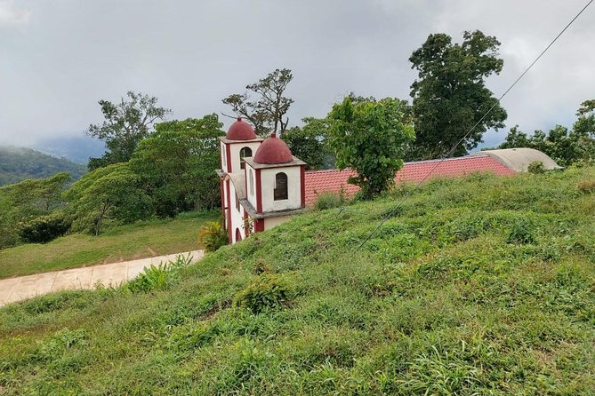 Coffee Plantation Experience - Why the guide matters here