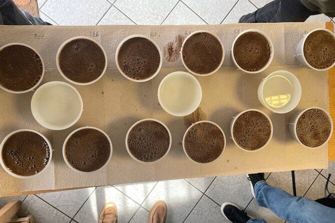 Coffee Sensory Training in Ljubljana - What this Ljubljana coffee course really teaches