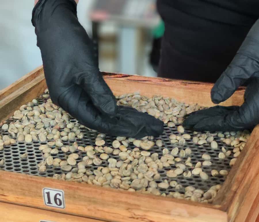 Coffee Tasting Experience in Cali - Who will enjoy this most